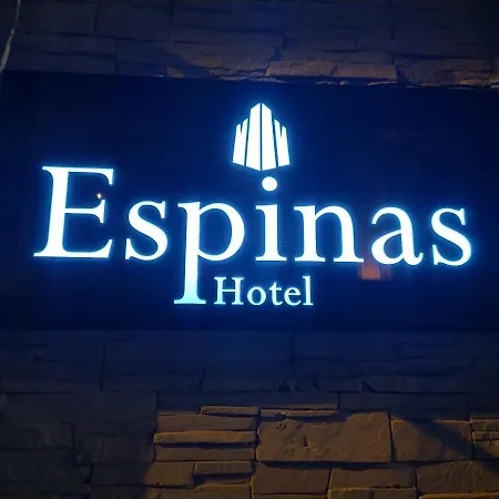 Espinas Hotel Istambul